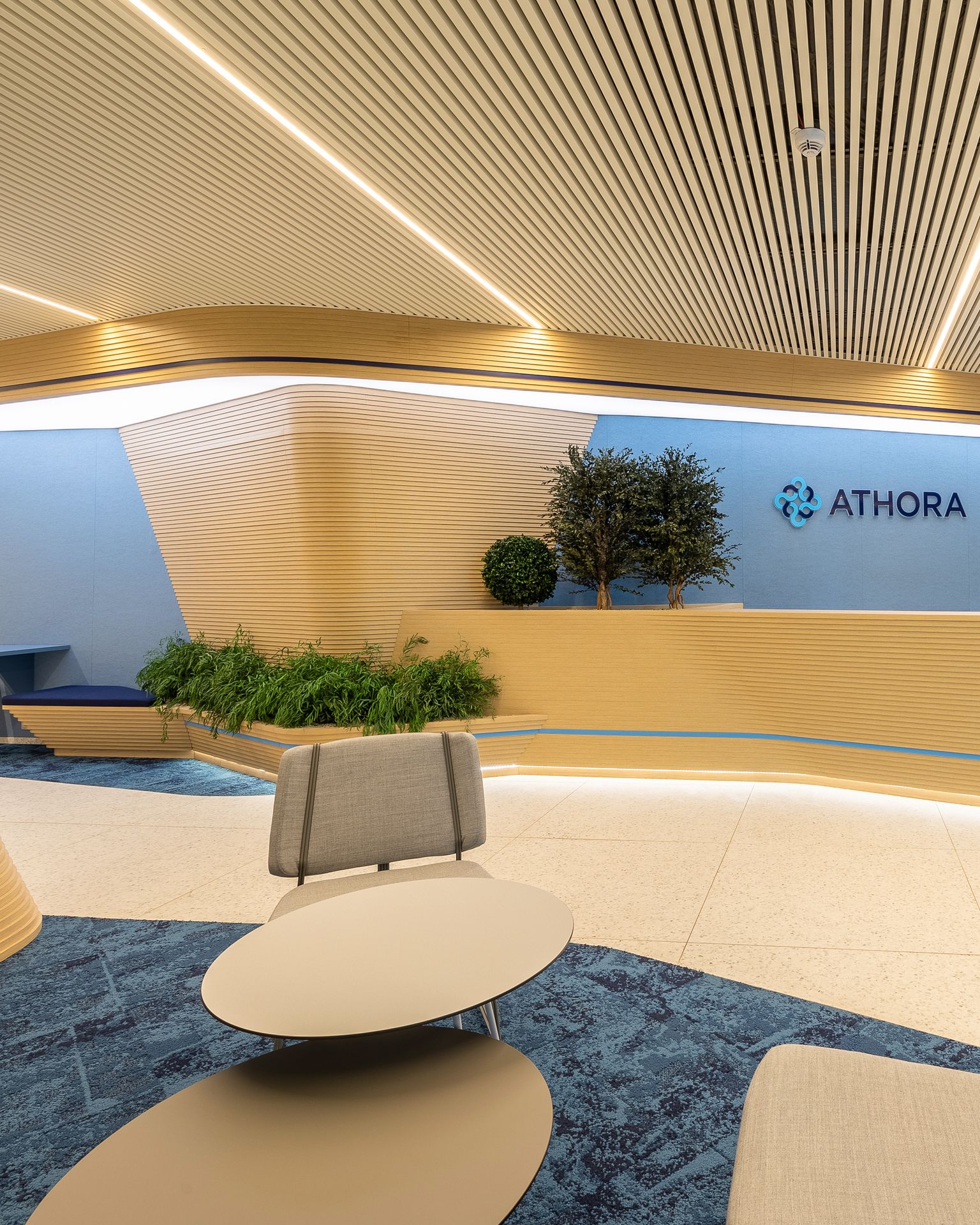 Athora  CDM