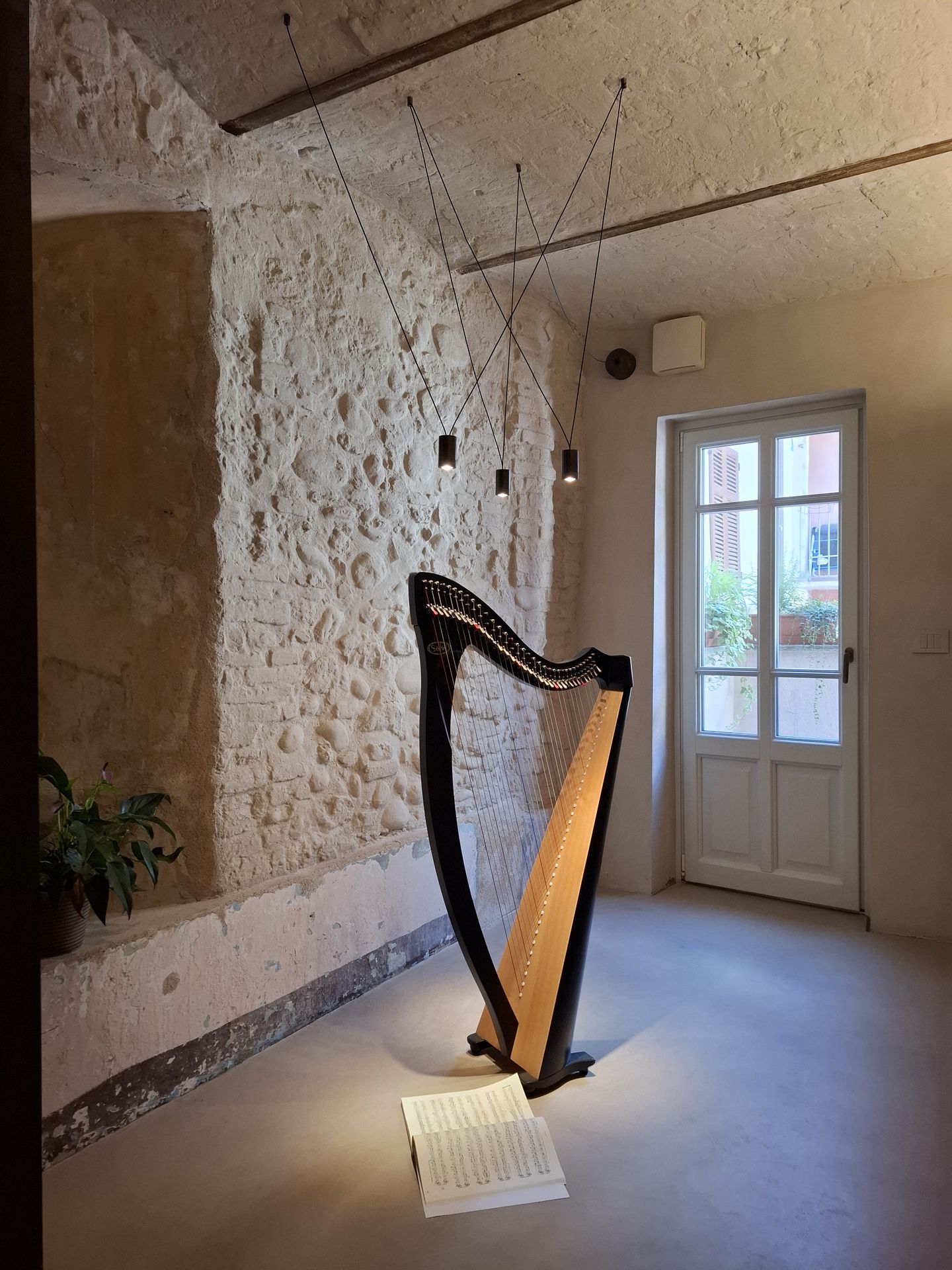La casa dell'arpista