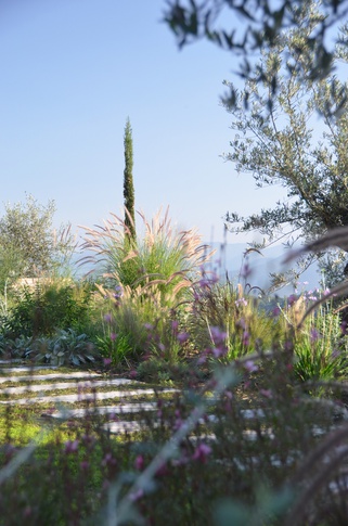 Giardino in stile mediterraneo di 500 di Gaia Granelli
