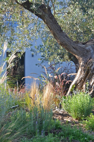 Giardino in stile mediterraneo di 500 di Gaia Granelli