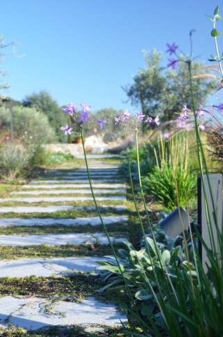Giardino in stile mediterraneo di 500 di Gaia Granelli