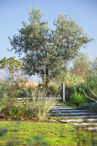 Giardino in stile mediterraneo di 500 di Gaia Granelli