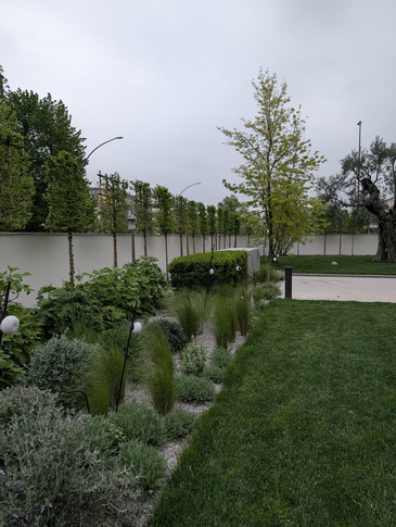 Giardino in stile contemporaneo di 800 di DipintoSucci