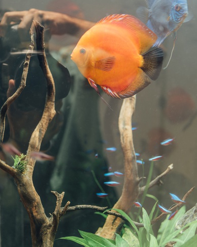 Open Space in stile contemporaneo di 59 di Francesco Cardano Interior Designer