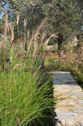 Giardino in stile mediterraneo di 500 di Gaia Granelli