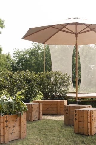 Giardino in stile tropicale di 150 di SET designers Giardino in stile tropicale di 150 di SET designers