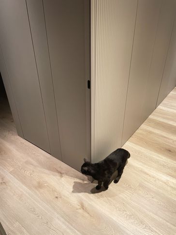 Corridoio in stile moderno di 8 di Silvia Aquilani . Design studio