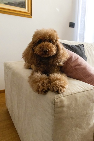 Soggiorno in stile contemporaneo di 27 di Studio MAC