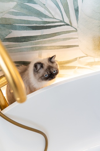 Bagno in stile urban jungle di 6 di AD Design Bagno in stile urban jungle di 6 di AD Design