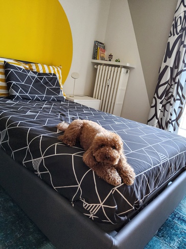 Cameretta Bambini in stile contemporaneo di 15 di Studio MAC Cameretta Bambini in stile contemporaneo di 15 di Studio MAC