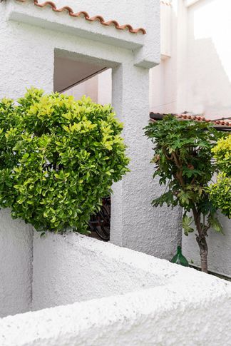 Giardino in stile mediterraneo di 100 di Caprioli Architetti
