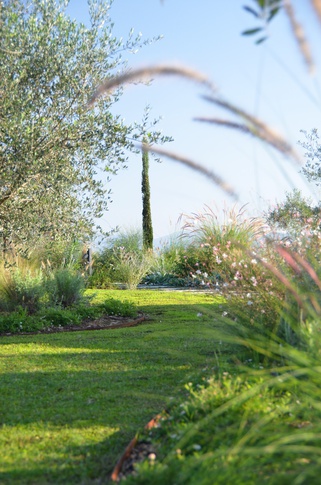 Giardino in stile mediterraneo di 500 di Gaia Granelli