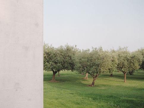 Facciata in stile minimal di null di Didonè Comacchio Architects