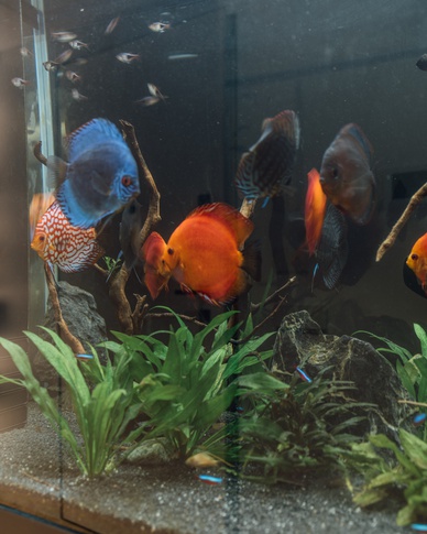 Open Space in stile contemporaneo di 59 di Francesco Cardano Interior Designer