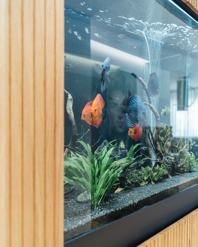 Open Space in stile contemporaneo di 59 di Francesco Cardano Interior Designer Open Space in stile contemporaneo di 59 di Francesco Cardano Interior Designer