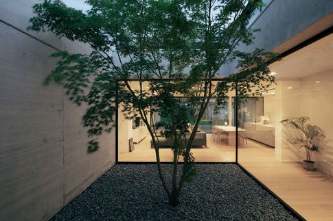 Patio in stile minimal di 16 di Didonè Comacchio Architects