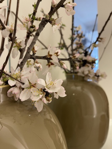 Ingresso in stile contemporaneo di 15 di Rosaura D’Alessandro Ingresso in stile contemporaneo di 15 di Rosaura D’Alessandro