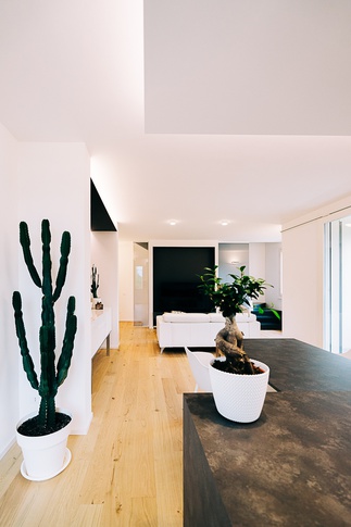 Open Space in stile moderno di 48 di COBE architetti