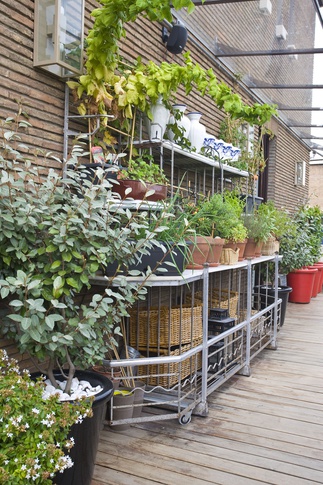 Terrazza in stile anni '50 di 150 di Sara Lucci Architetto