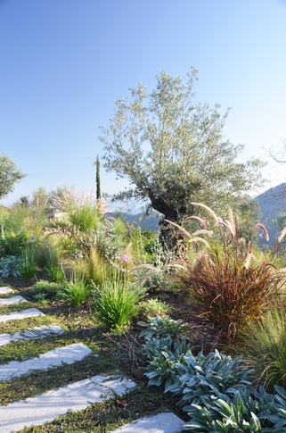 Giardino in stile mediterraneo di 500 di Gaia Granelli