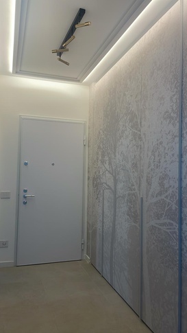 Ingresso in stile contemporaneo di 4 di Renderincanto