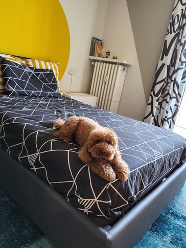 Cameretta Bambini in stile contemporaneo di 15 di Studio MAC Cameretta Bambini in stile contemporaneo di 15 di Studio MAC