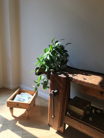 Studio in stile classico di 14 di Gambino Flamini | architetti