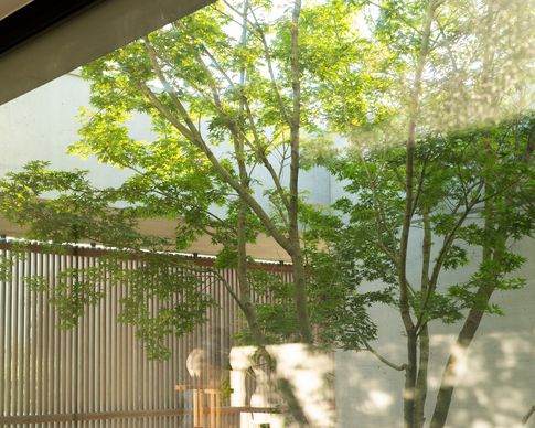 Patio in stile minimal di 16 di Didonè Comacchio Architects