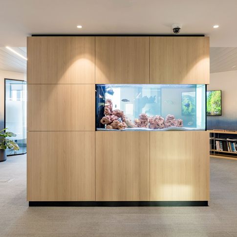 Open Space in stile contemporaneo di 1250 di Frame Farm - Architecture & Design Open Space in stile contemporaneo di 1250 di Frame Farm - Architecture & Design