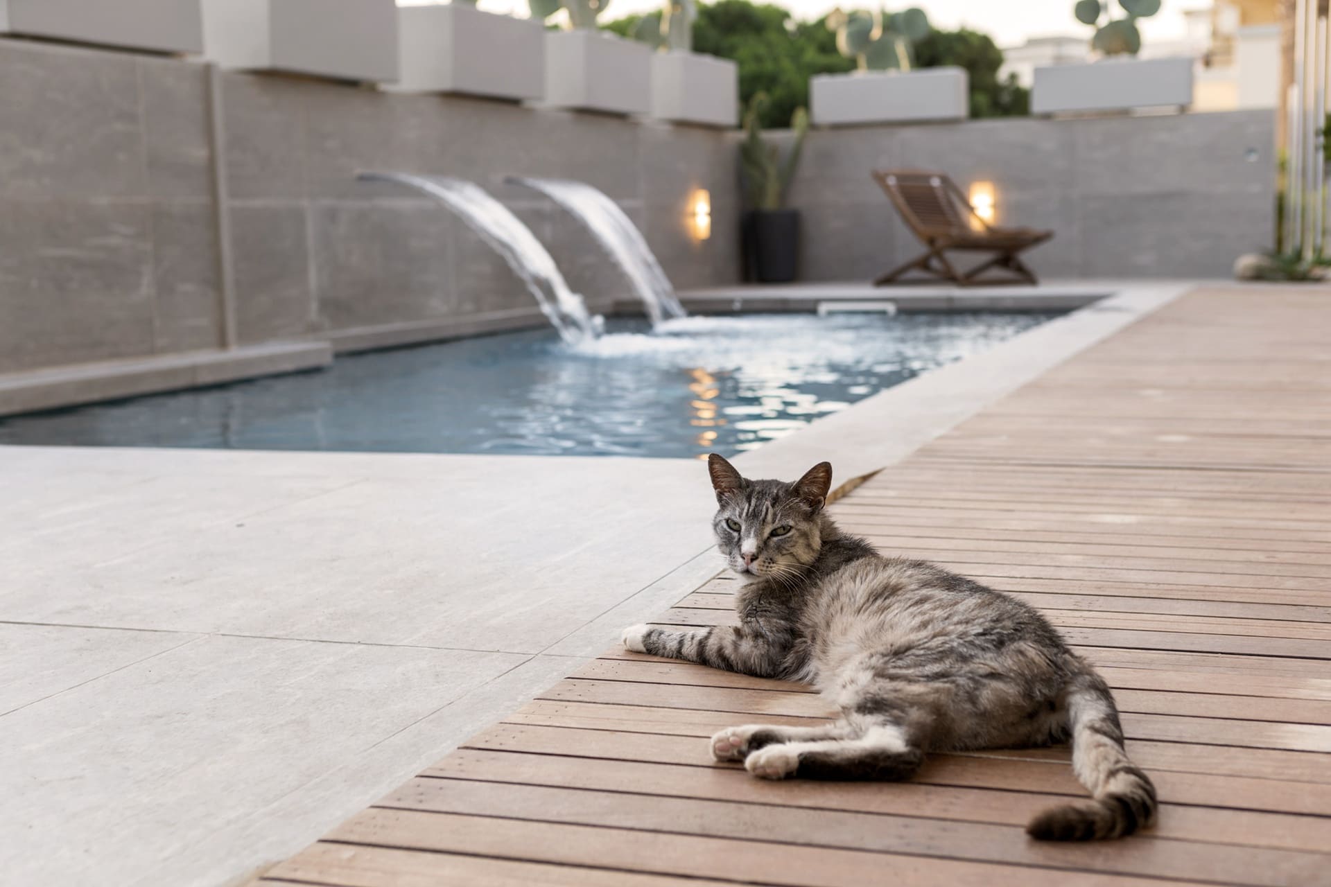 Piscina privata a uso esclusivo