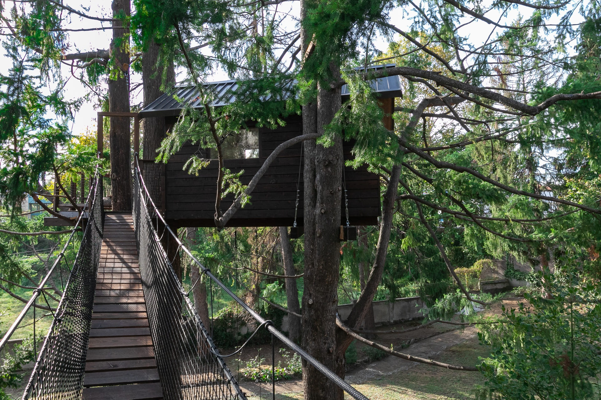 casa sull'albero con ponte tibetano