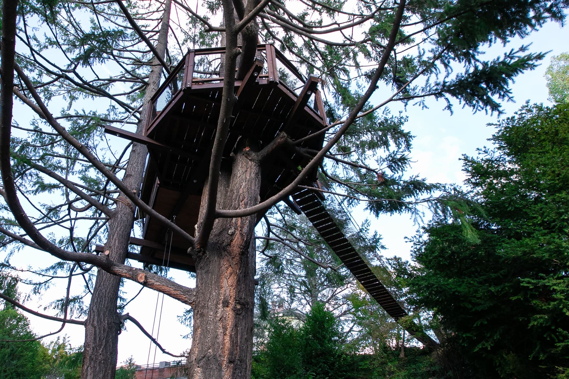 casa sull'albero