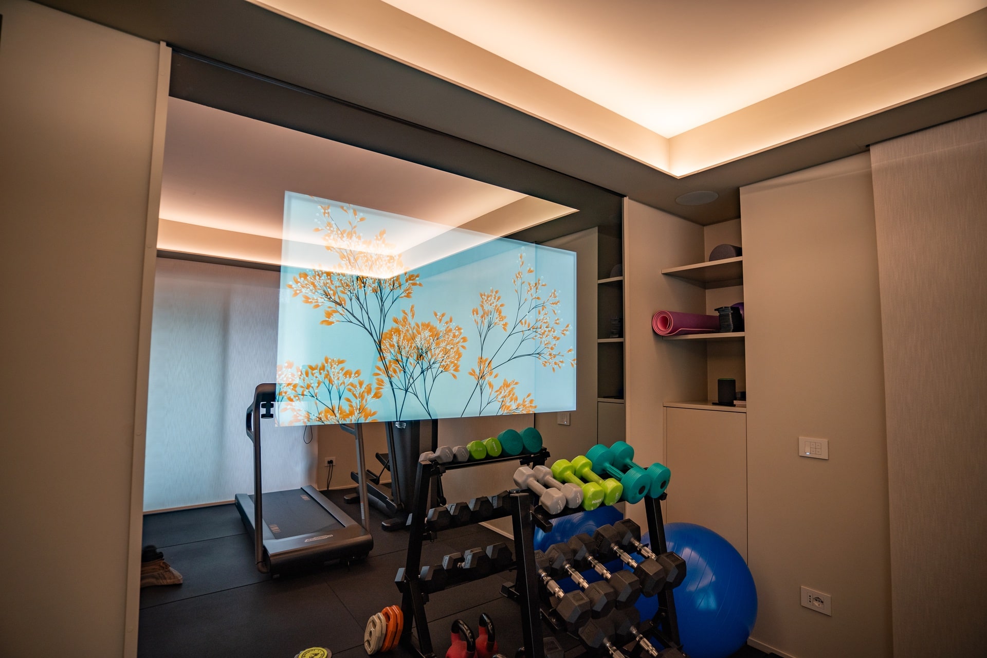 Palestra e TV con specchio dicroico