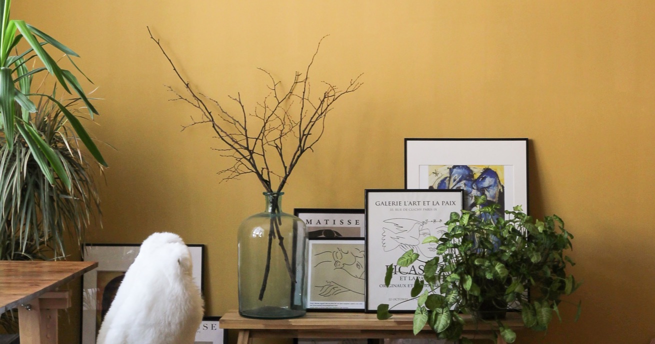 Colore in casa: sì o no?