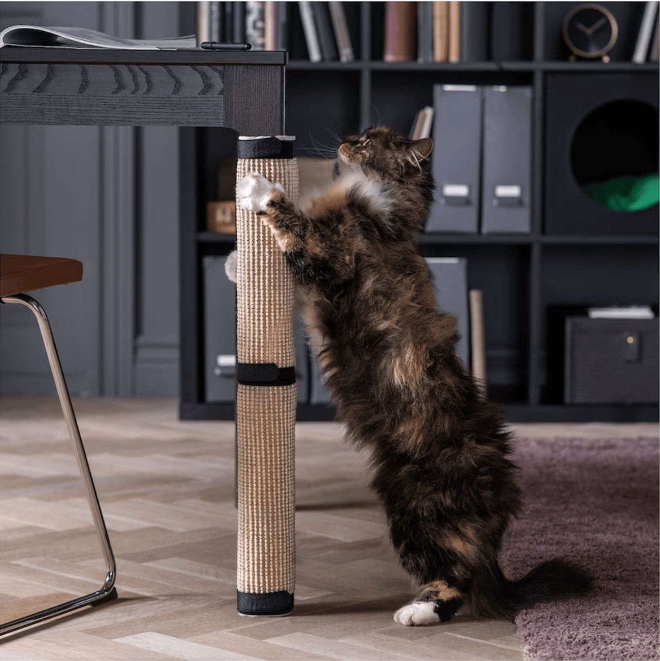 Soluzioni per un arredamento pet friendly: i consigli degli esperti