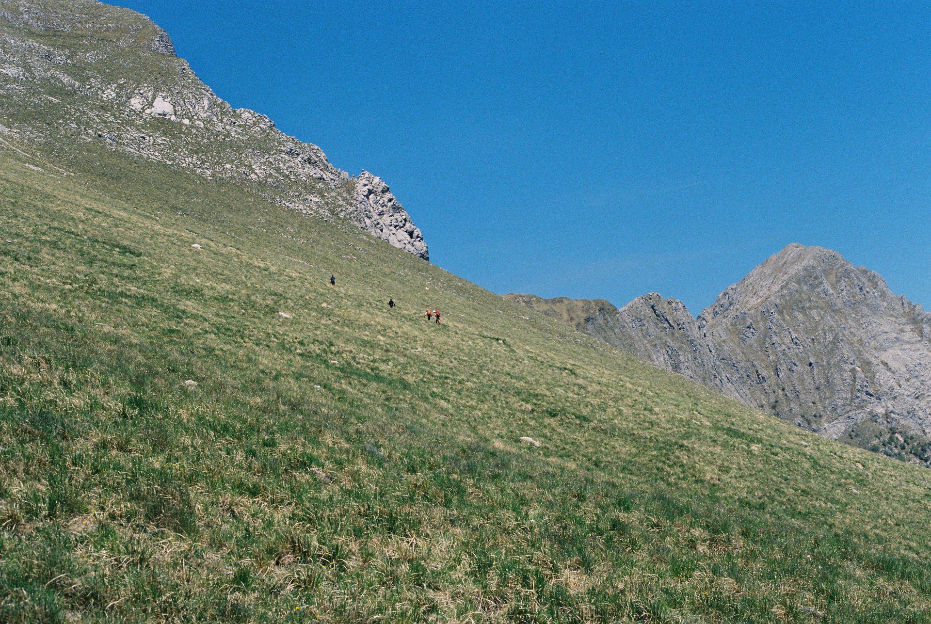 Copertina profilo